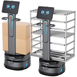 Carrybot